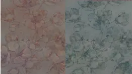 flower wallpaper colors