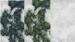 nature wallpaper colors
