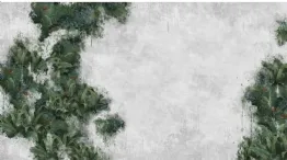 nature wallpaper 02